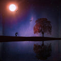 High quality wall art oil painitng handpainted on canvasa "witch,tree,birds,moon" stunningoilpainting.com