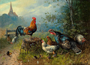 Descriptive image text