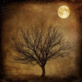 High quality wall art oil painitng handpainted on canvasa"tree,moon" stunningoilpainting.com