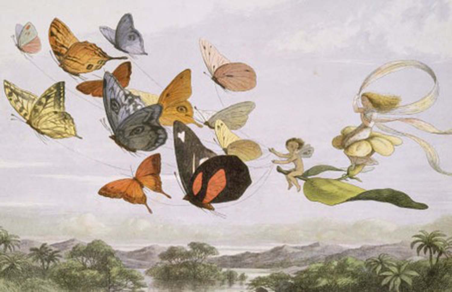 high quality wall art fine art oil painitng handpainted on canvas"Fairies,butterflies" stunningoilpainting.com