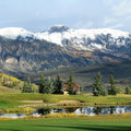 High quality wall art fine art oil painitng handpainted on canvas "beautiful landscape" stunningoilpainting.com