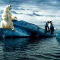 High quality wall art fine art oil painitng handpainted on canvas"penguins, polar bear" stunningoilpainting.com