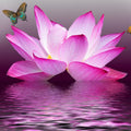 High quality wall art fine art oil painitng handpainted on canvas"butterflies and lotus flowers" stunningoilpainting.com
