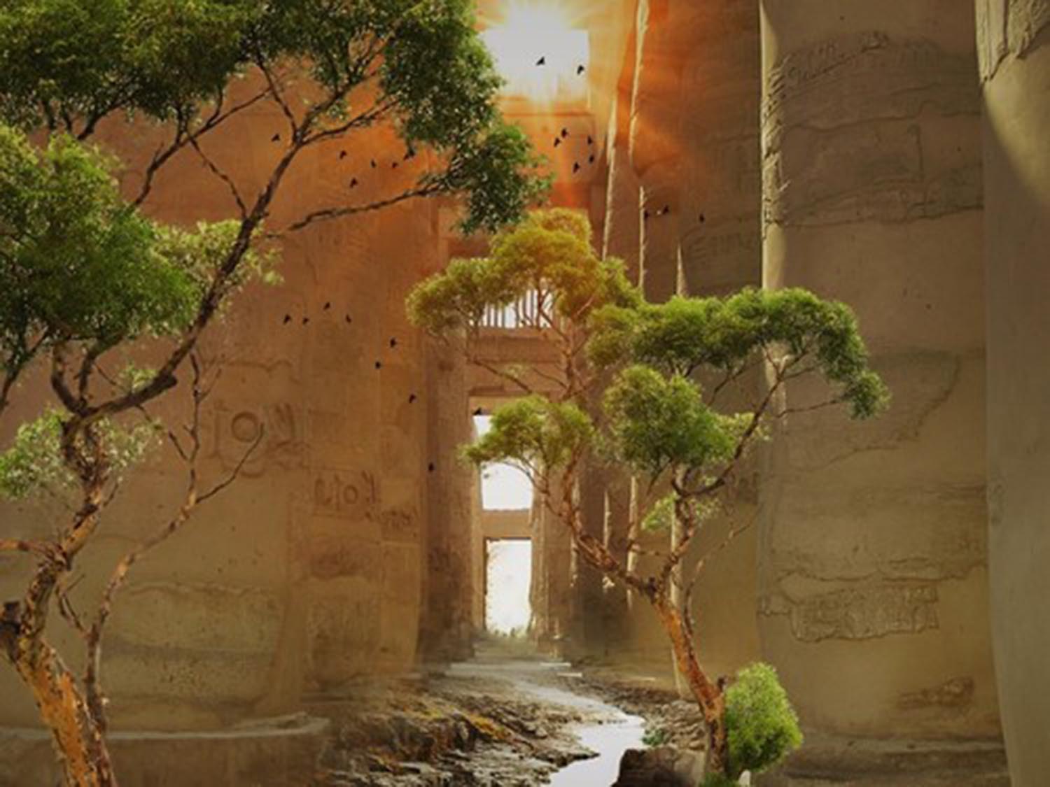 High quality wall art fine art oil painitng handpainted on canvas "trees,buildings" stunningoilpainting.com