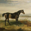 High quality wall art fine art oil painitng handpainted on canvas "a horse" stunningoilpainting.com