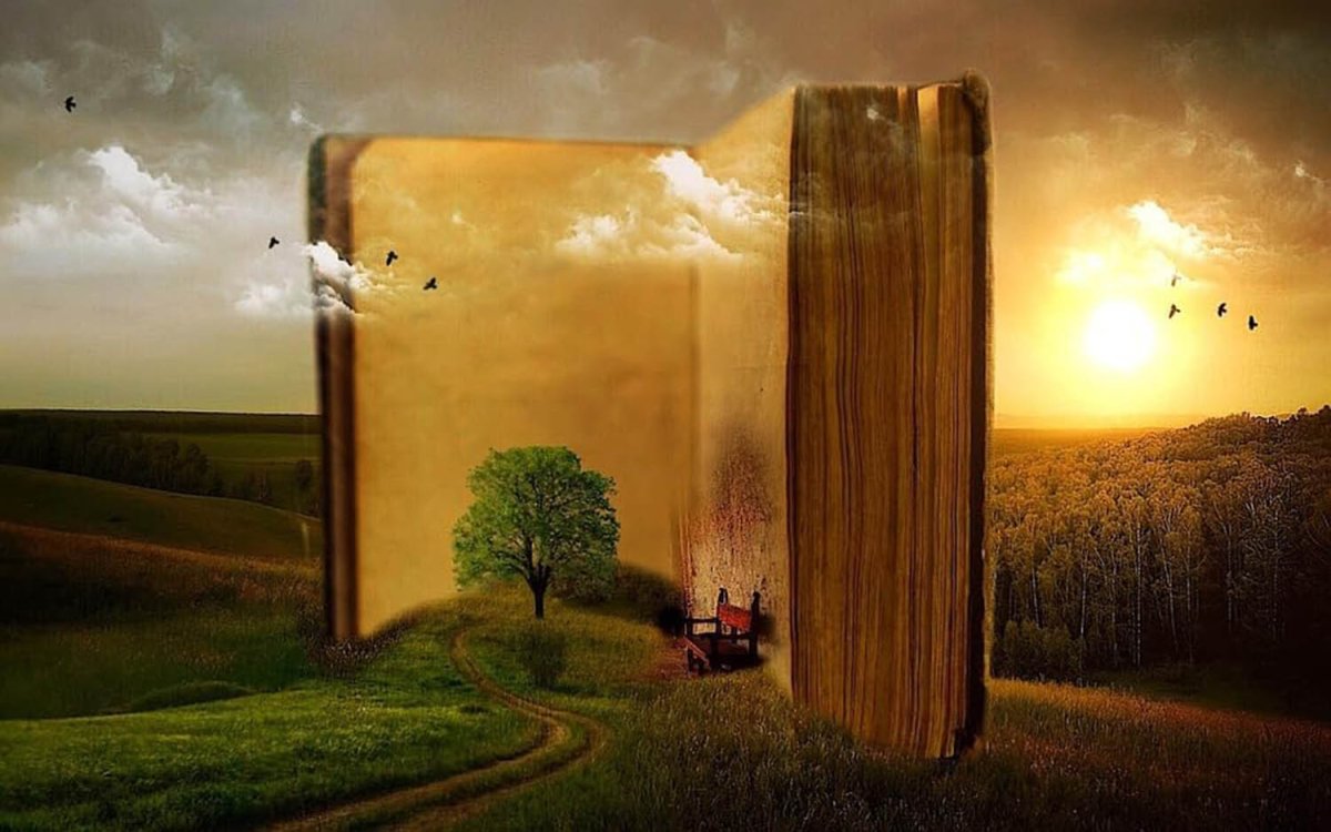 High quality wall art fine art oil painitng handpainted on canvas" a large book,tree,birds,landscape" stunningoilpainting.com